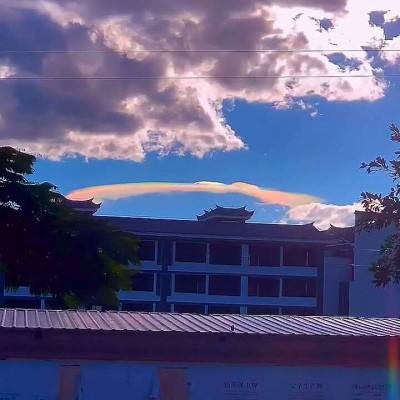 驯龙之路完整版